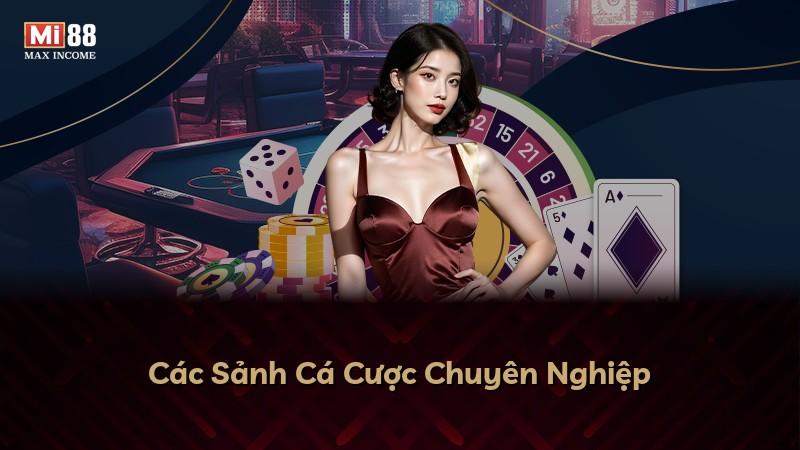 Các Sảnh Cá Cược Chuyên Nghiệp