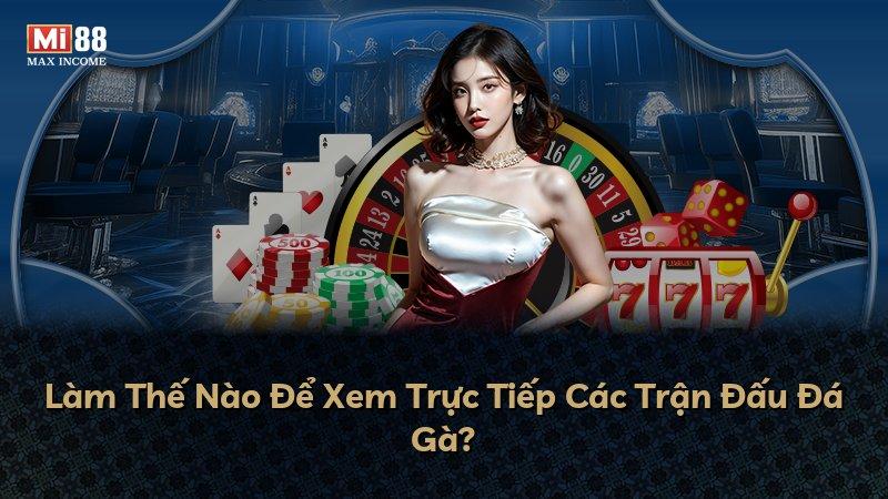 Làm Thế Nào Để Xem Trực Tiếp Các Trận Đấu Đá Gà?
