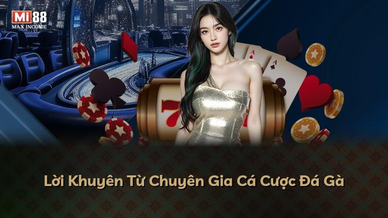 Lời Khuyên Từ Chuyên Gia Cá Cược Đá Gà