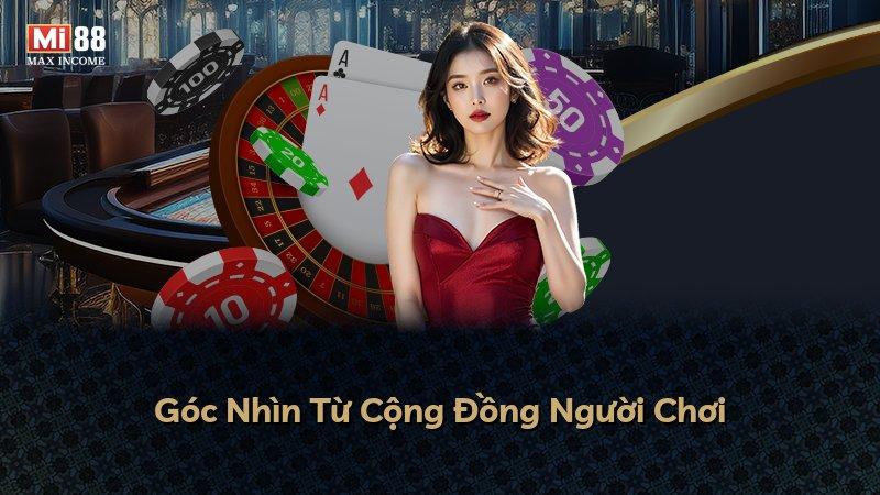 Góc Nhìn Từ Cộng Đồng Người Chơi
